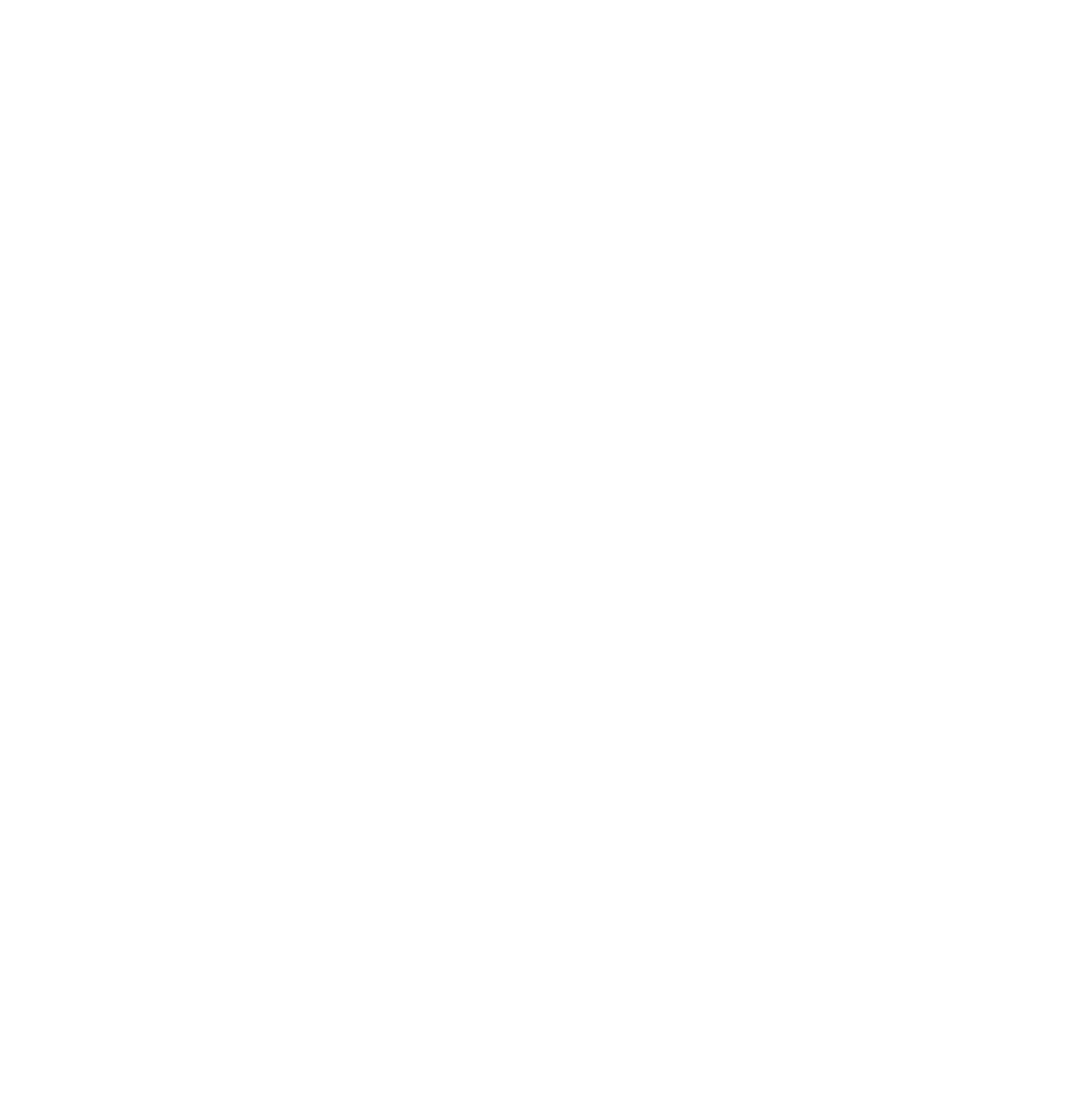 White logo - no background
